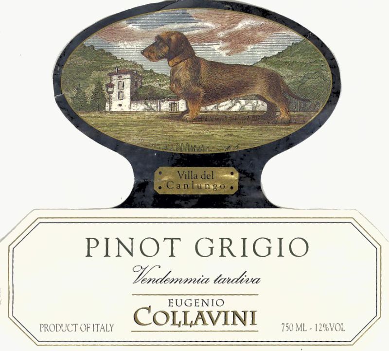 Pinot grigio_Colavini.jpg